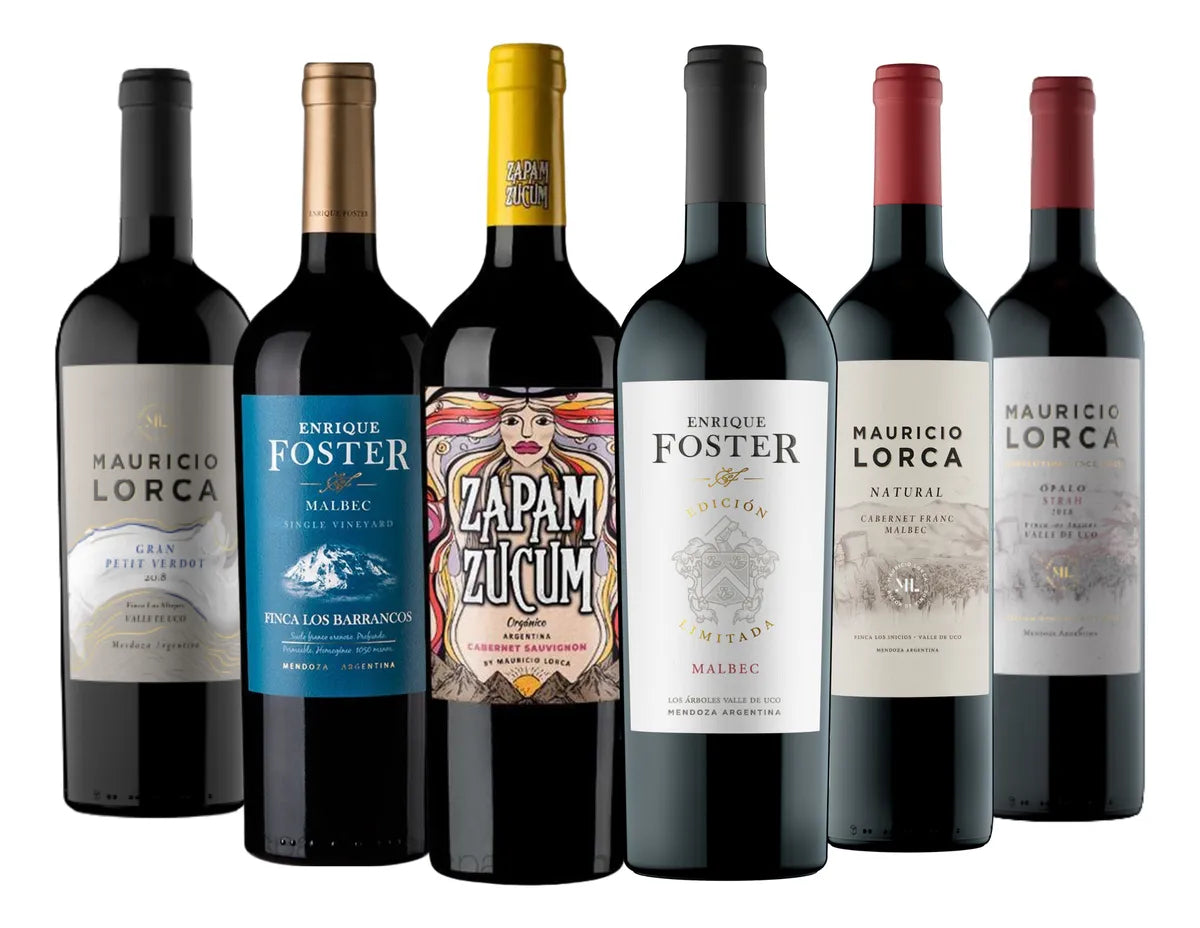 Mix Foster Lorca Premium X6 - Exclusivo -